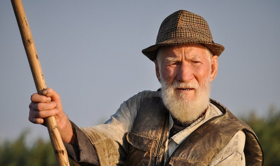 Wann ist kompetente Altenpflege notwendig?